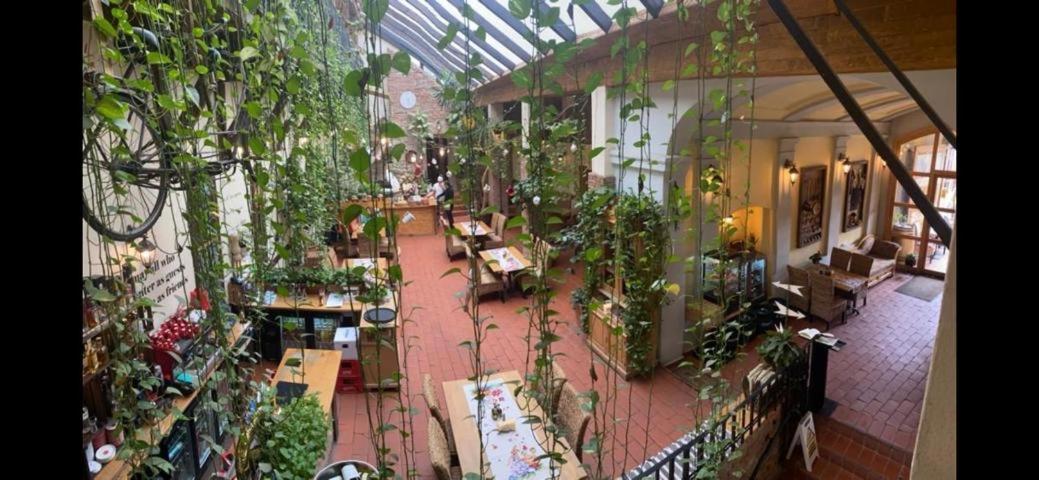 Pensiunea Gasthaus Alte Post Sighişoara Dış mekan fotoğraf