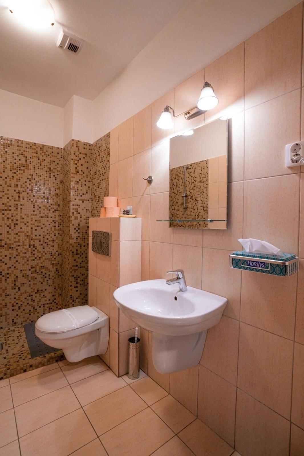 Pensiunea Gasthaus Alte Post Sighişoara Dış mekan fotoğraf