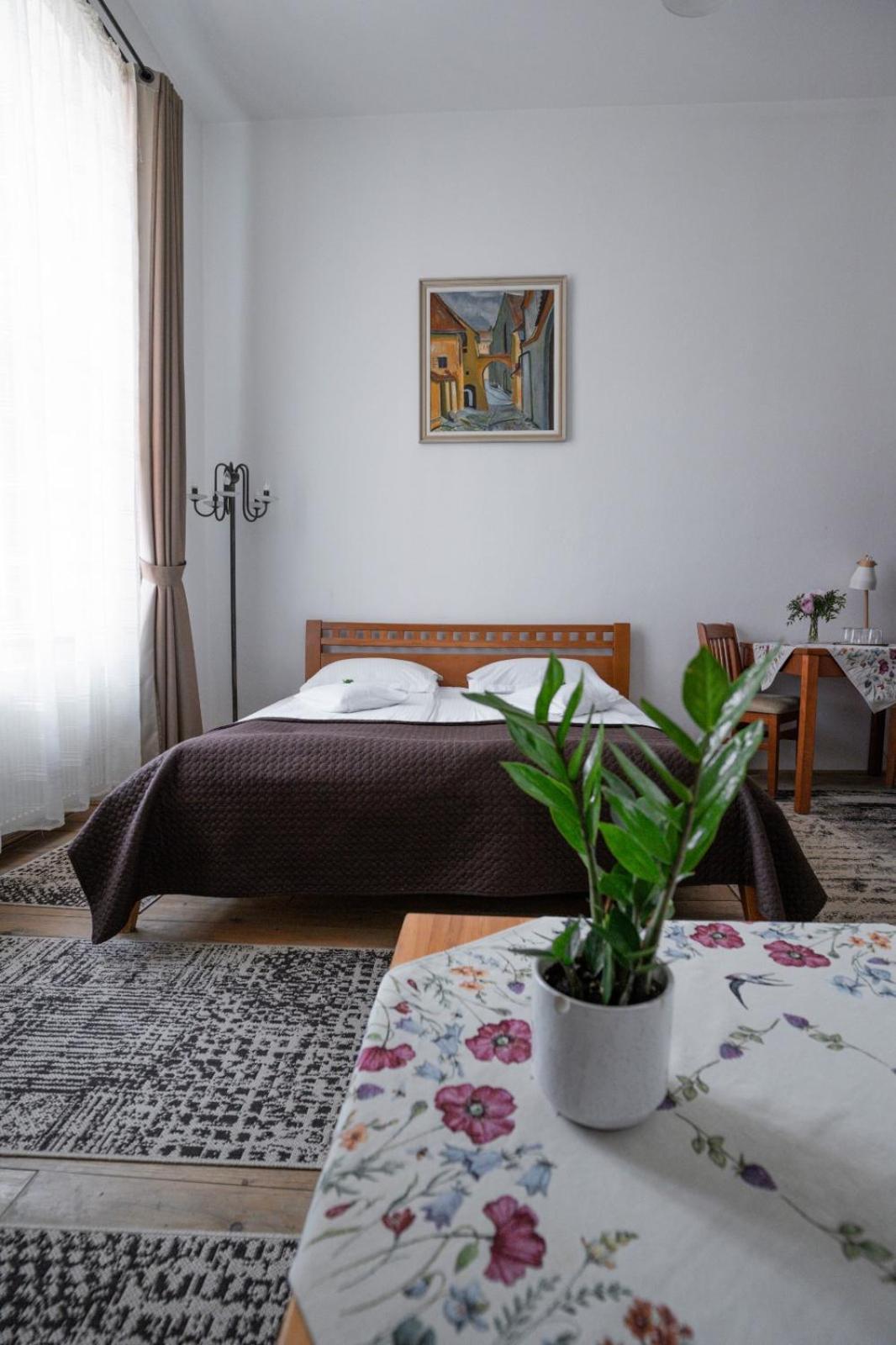 Pensiunea Gasthaus Alte Post Sighişoara Dış mekan fotoğraf